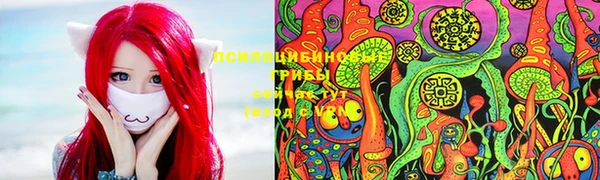 спиды Белокуриха