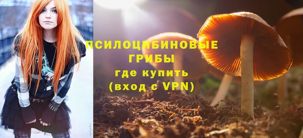 спиды Белокуриха