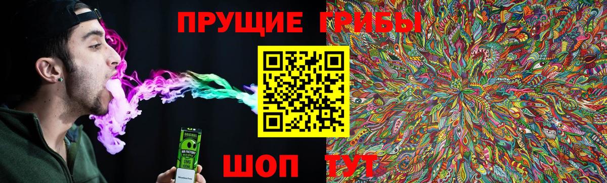 Псилоцибиновые грибы GOLDEN TEACHER Гудермес
