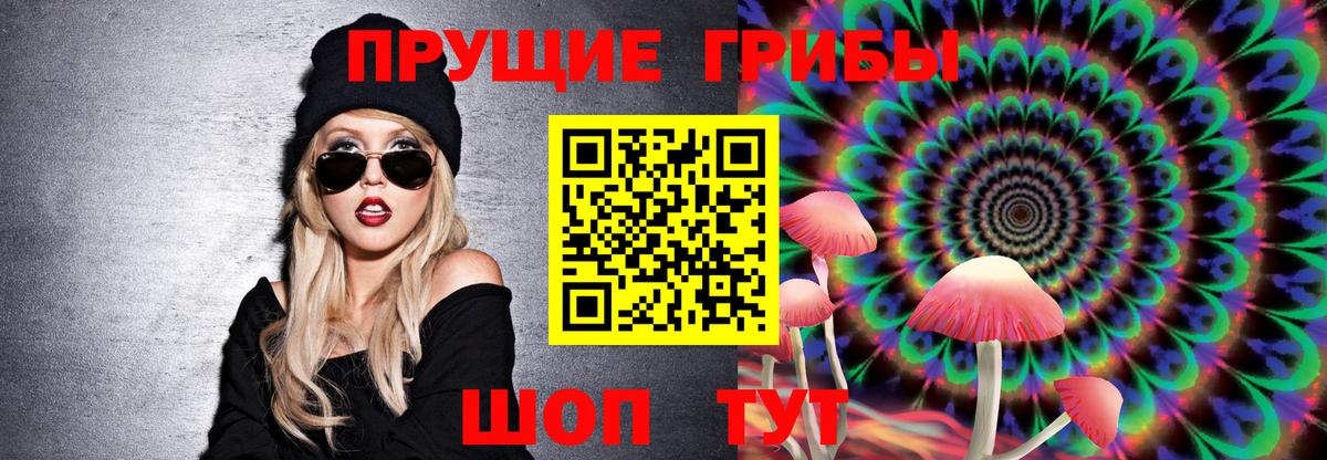Гудермес  Галлюциногенные грибы Psilocybine cubensis  Вход с VPN 