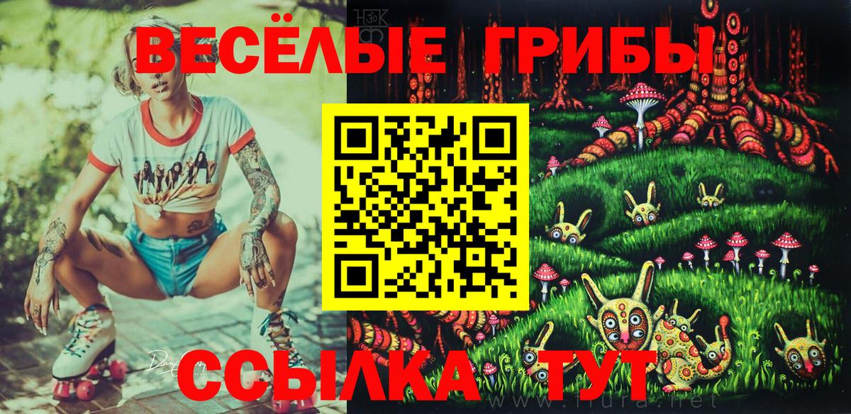 Codein Гудермес