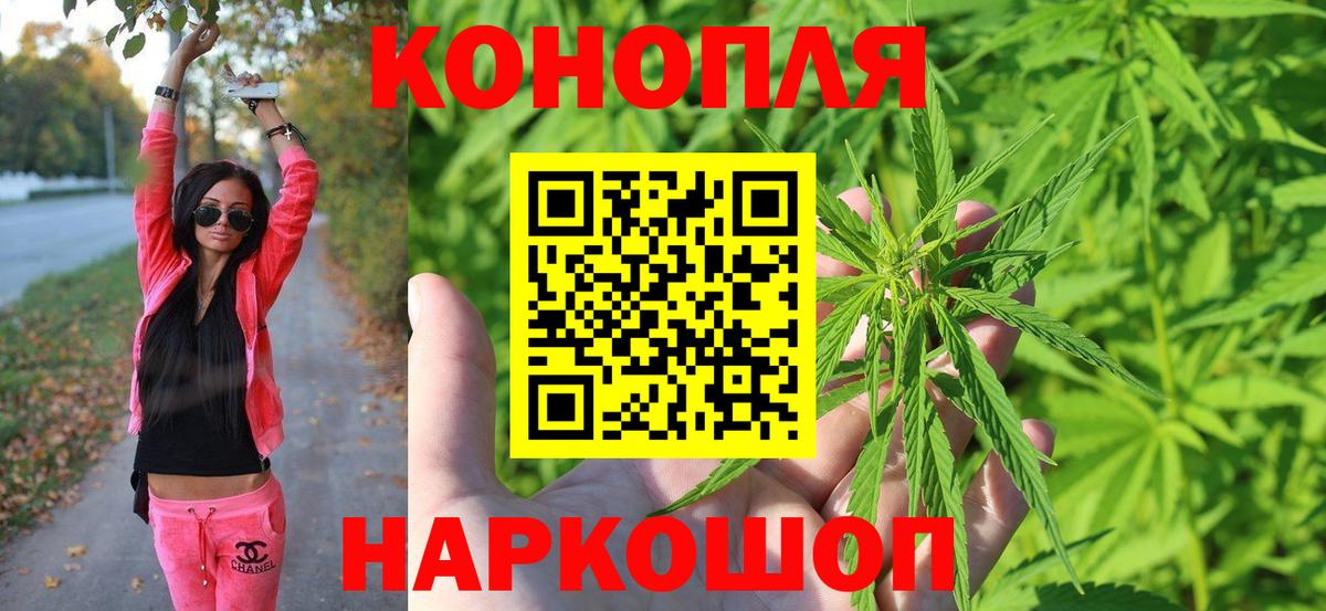 Бошки марихуана индика  Вход с VPN  Конопля тримм  Гудермес 